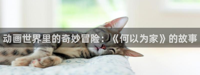 囧次元网站官网下载：动画世界里的奇妙冒险：《何以为家》的故事