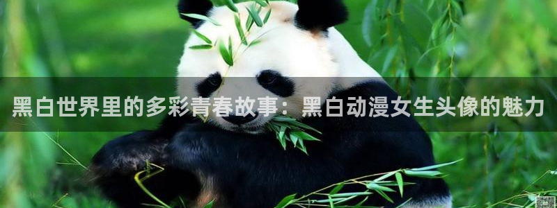 囧次元app下载：黑白世界里的多彩青春故事：黑白动漫女生头像的魅力