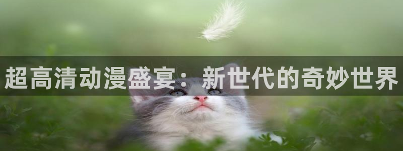 最新囧次元app下载：超高清动漫盛宴：新世代的奇妙世界