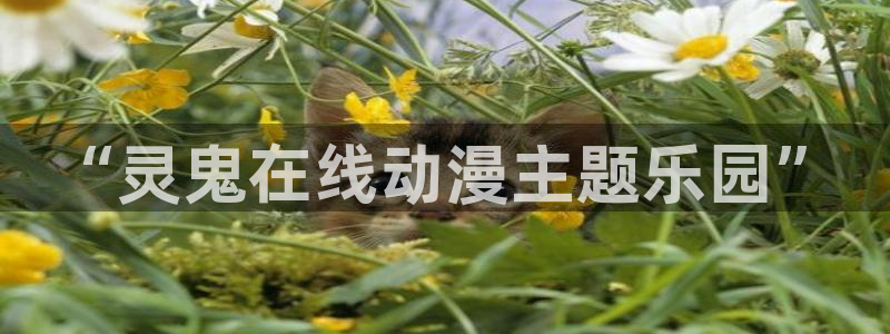 囧次元：“灵鬼在线动漫主题乐园”