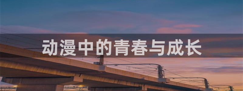 正版囧次元：动漫中的青春与成长