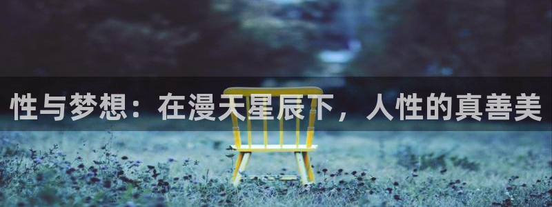 囧次元官方最新版：性与梦想：在漫天星辰下，人性的真善美
