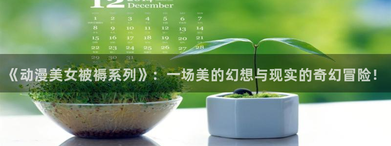 囧次元官网入口：《动漫美女被褥系列》：一场美的幻想与现实的奇幻冒险！