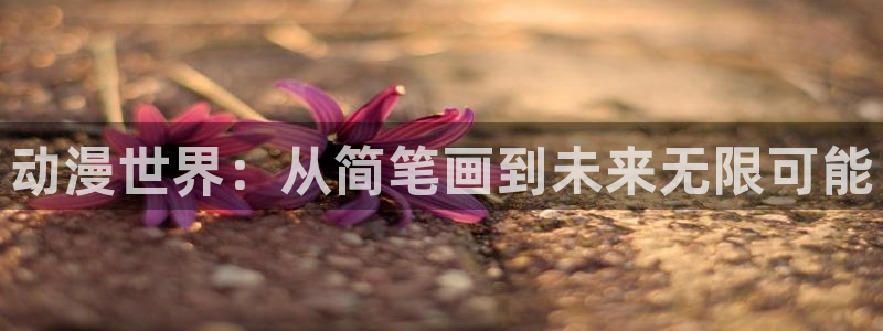 囧次元官网下载入口：动漫世界：从简笔画到未来无限可能