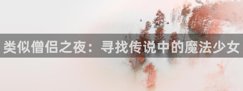 囧次元新版下载：类似僧侣之夜：寻找传说中的魔法少女