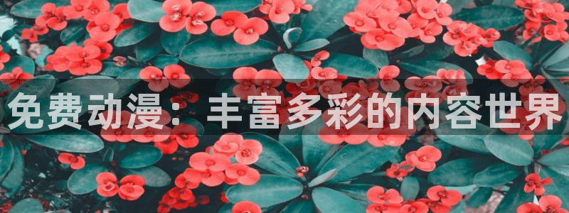 囧次元官网在线观看免费入口：免费动漫：丰富多彩的内容世界