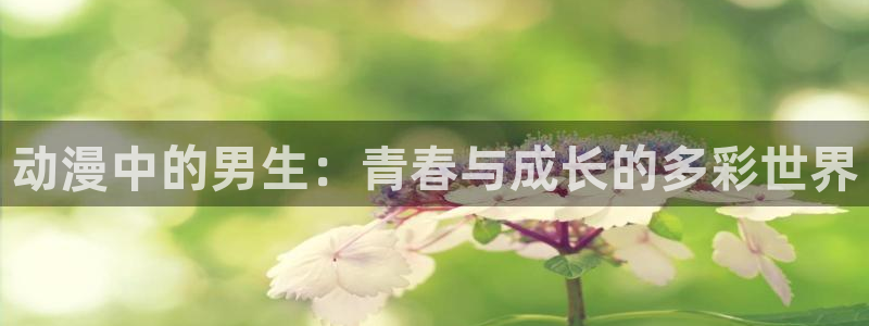 囧次元正版官方网址：动漫中的男生：青春与成长的多彩世界