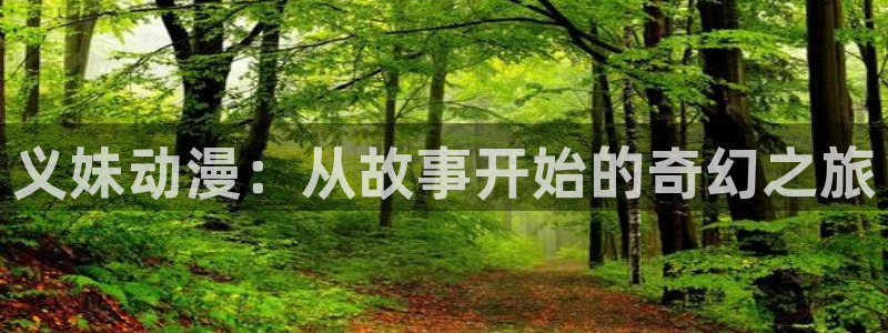 囧次元官方版：义妹动漫：从故事开始的奇幻之旅