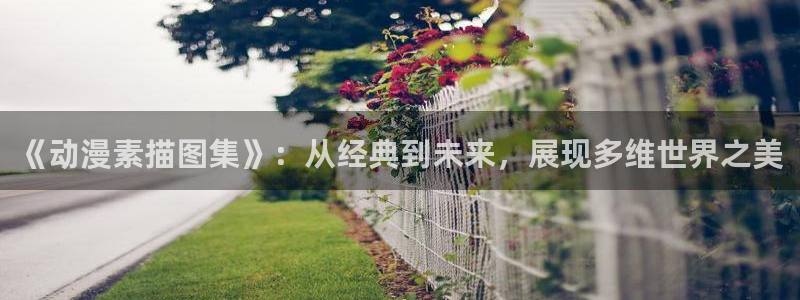 囧次元app下载：《动漫素描图集》：从经典到未来，展现多维世界之美