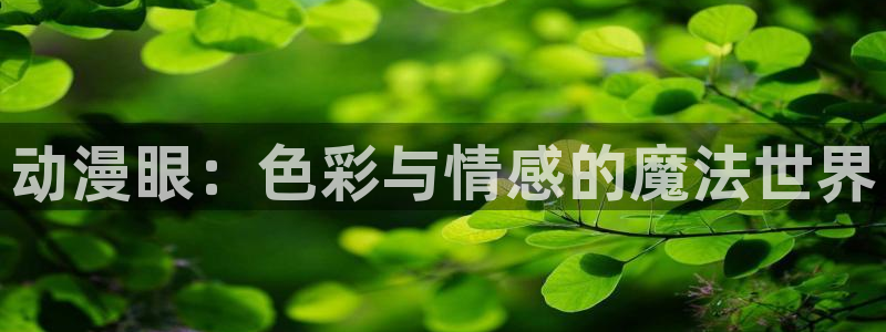 囧次元网址：动漫眼：色彩与情感的魔法世界