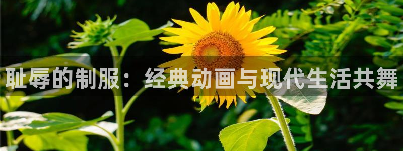 囧次元苹果版官方网站入口：耻辱的制服：经典动画与现代生活共舞