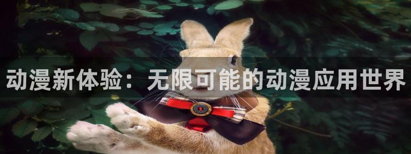 囧次元a：动漫新体验：无限可能的动漫应用世界