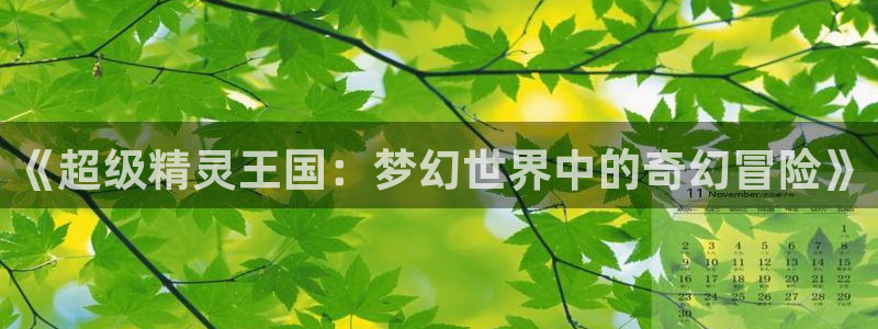 囧次元正版下载官方入口：《超级精灵王国：梦幻世界中的奇幻冒险》