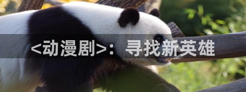 jcyapp囧次元官网入口：<动漫剧>：寻找新英雄