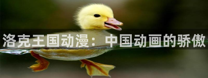 囧次元官方正版：洛克王国动漫：中国动画的骄傲