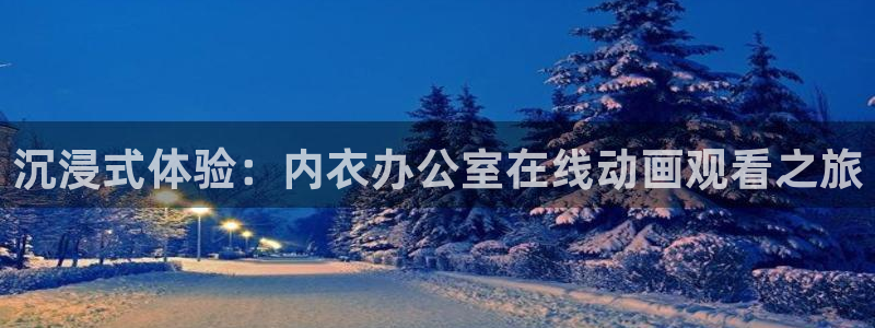 囧次元动漫官网下载入口：沉浸式体验：内衣办公室在线动画观看之旅