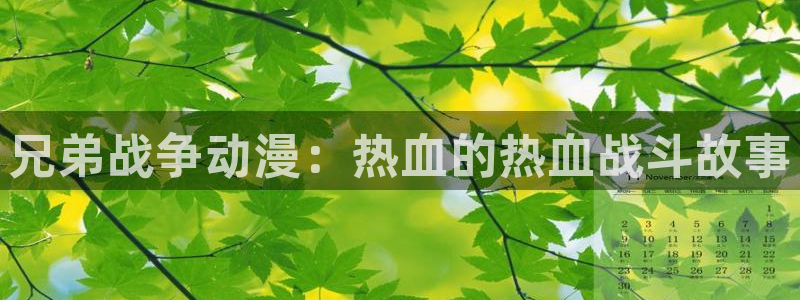 com.囧次元.www：兄弟战争动漫：热血的热血战斗故事