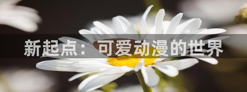 囧次元tv版：新起点：可爱动漫的世界