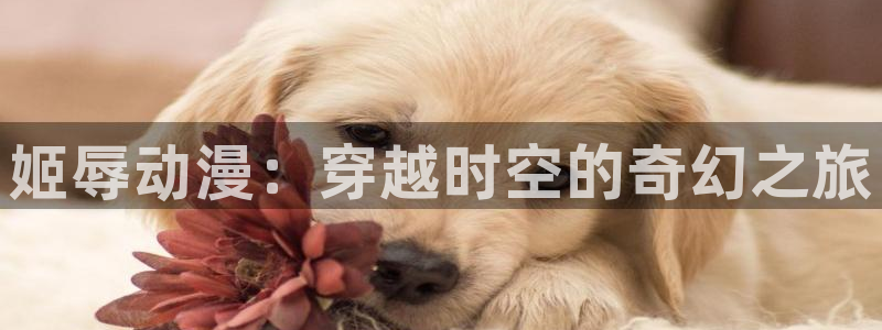 囧次元正版下载官方入口：姬辱动漫：穿越时空的奇幻之旅